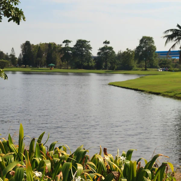 Květiny na krásné golfové hřiště — Stock fotografie