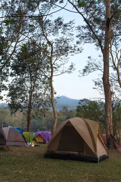 Camping — Stockfoto