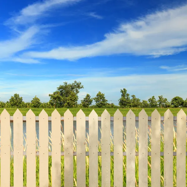 Hvite gjerder – stockfoto