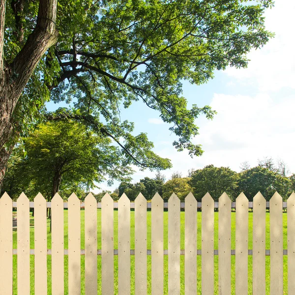 Fehér kerítés a kert — Stock Fotó