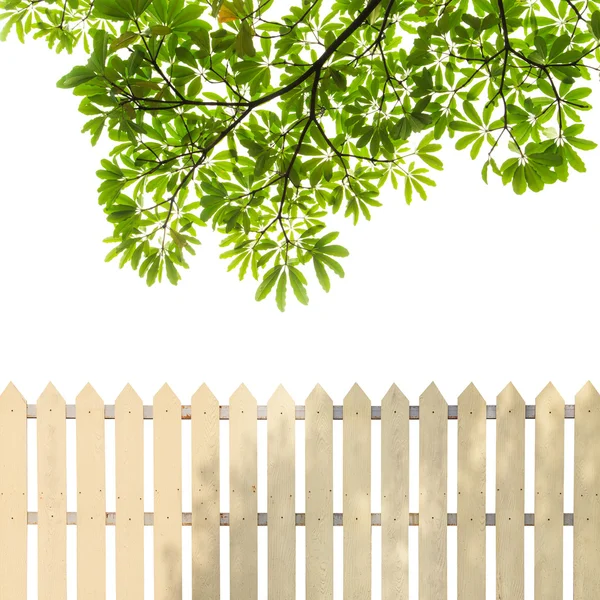 White fences with green leaves — Stock Photo, Image