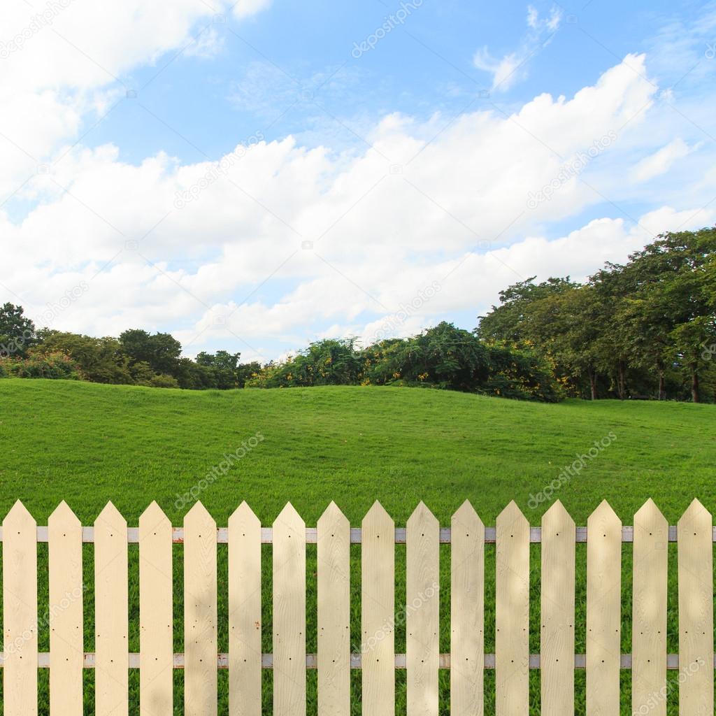 White fences in the garden