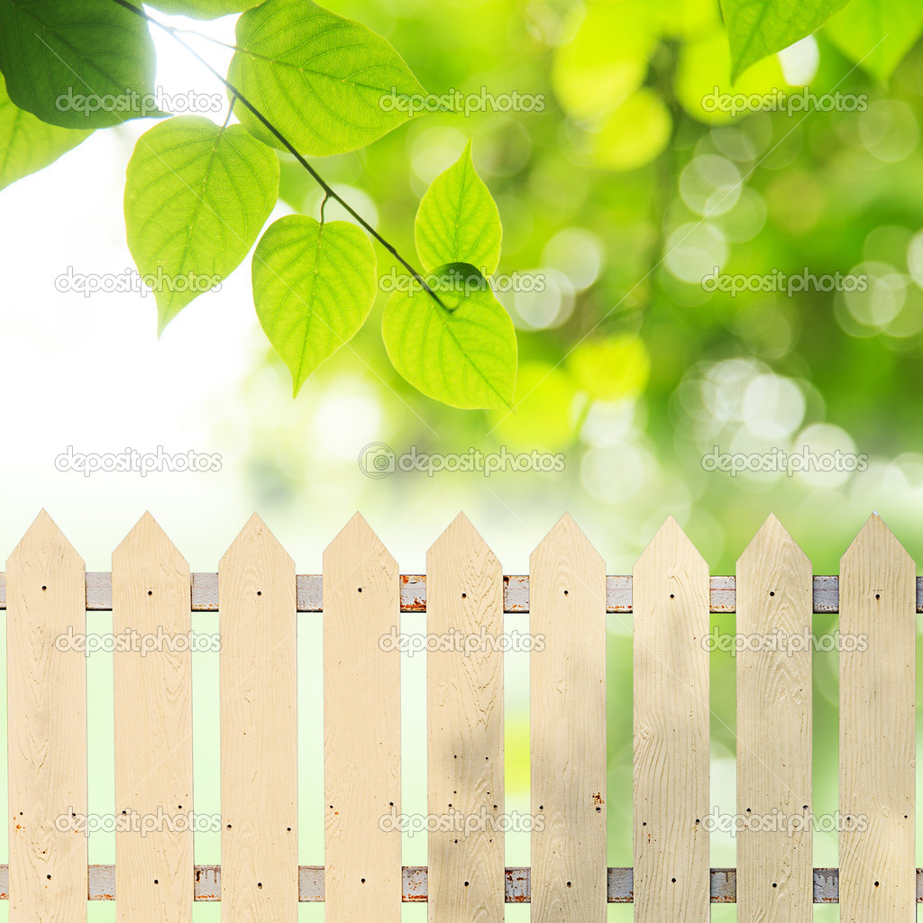 White fences