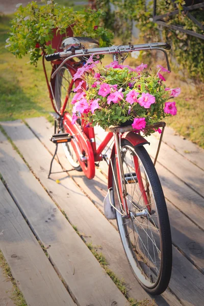 Red vintage bicycle — Stock Photo, Image