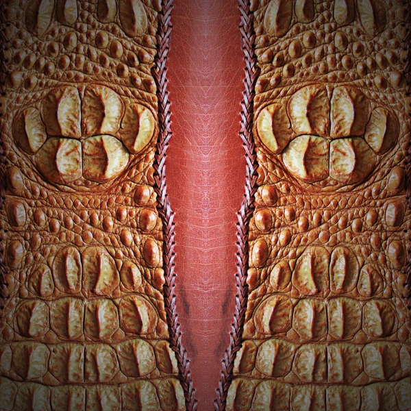 Crocodile skin — Stock Photo, Image