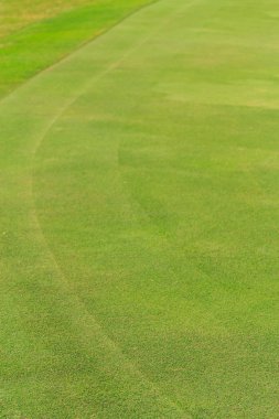 Yeşil çimenlerin üzerinde bir golf sahası