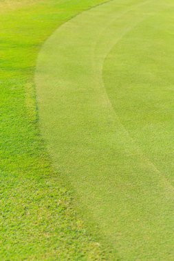 Yeşil çimenlerin üzerinde bir golf sahası