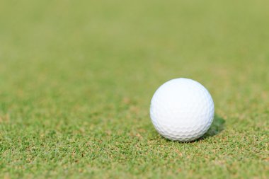 Yeşil çimlerin üzerinde golf topu
