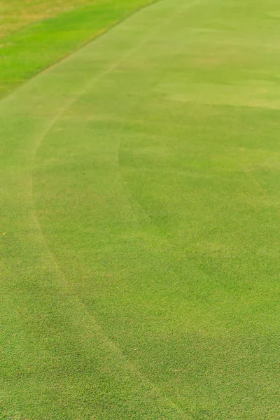 Zelené trávy na golfovém hřišti — Stock fotografie