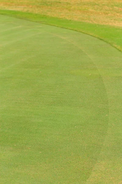 Groen gras op een golfbaan — Stockfoto