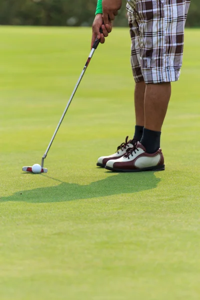 Playing golf — Stock Photo, Image