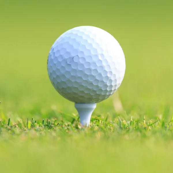 Pelota de golf sobre hierba verde — Foto de Stock