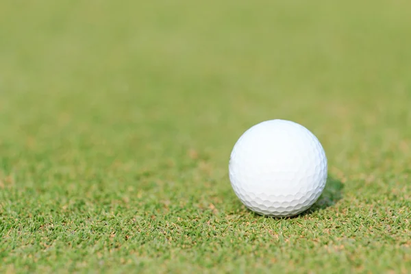 Golfbal op groen gras — Stockfoto