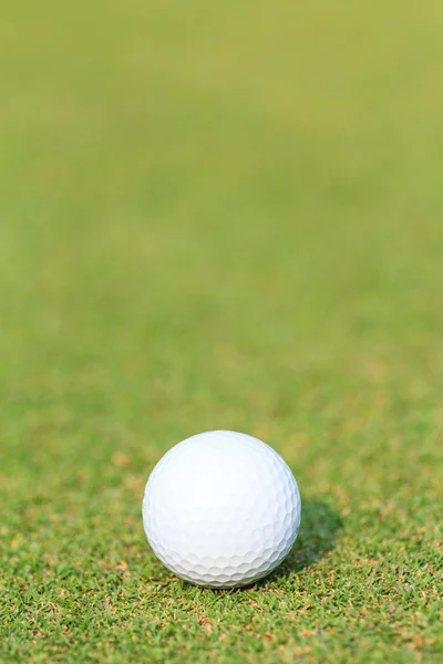 Pallina da golf su erba verde — Foto Stock