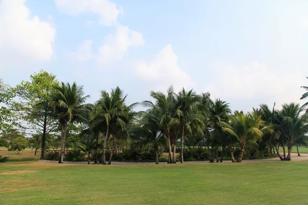 Golfplatz — Stockfoto