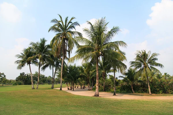 Campo de golfe — Fotografia de Stock