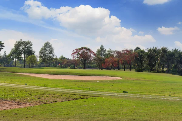 Campo da golf — Foto Stock