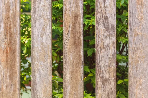 Wooden fences — Stock Photo, Image