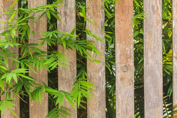 Wooden fences — Stock Photo, Image