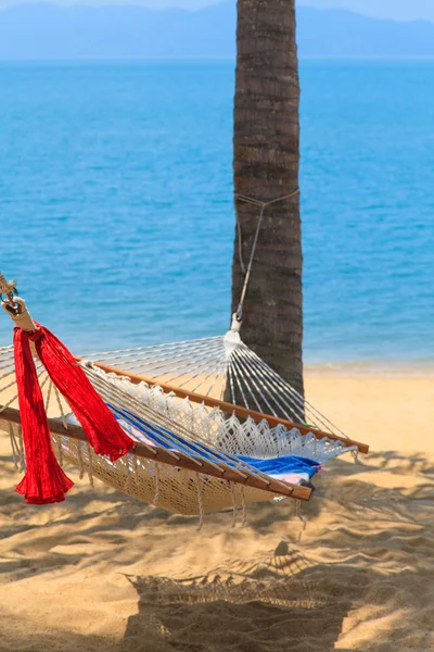 Hammock in the palm — Stock Photo, Image