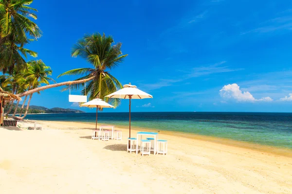 Tropikal plaj şemsiye — Stok fotoğraf