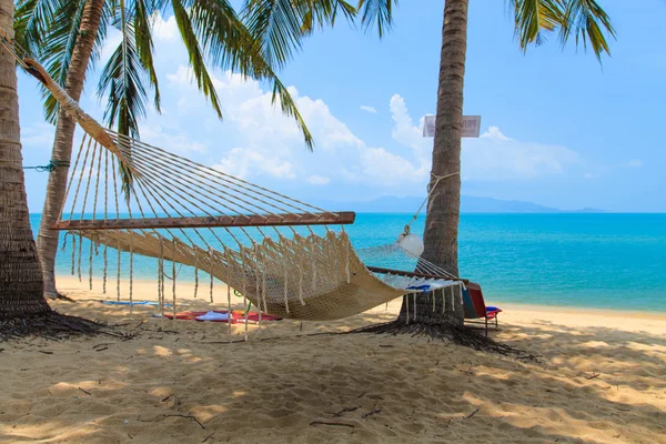 Hammock in the palm — Stock Photo, Image