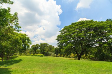Park