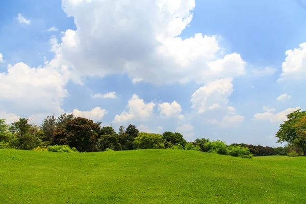 Parque — Fotografia de Stock