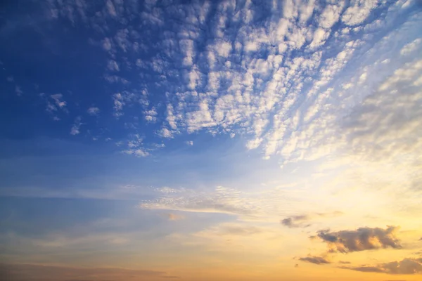 Blauwe ochtend — Stockfoto