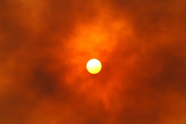 Large sun at sunset — Stock Photo, Image