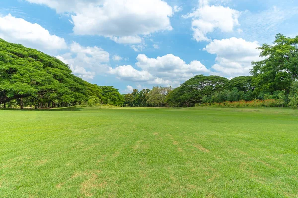 公园里绿树成荫 草地美丽 — 图库照片