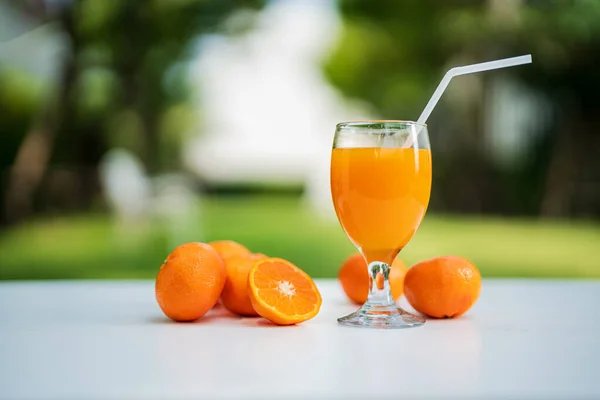 庭の自然の背景にあるオレンジジュースとオレンジの半分 — ストック写真