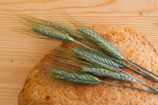 Hembakat bröd — Stockfoto