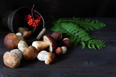 Taze sepe, Boletus edulis, Rowan 'la mantar, eğreltiotu ve kovayla koyu kahverengi ahşap kırsal masa..