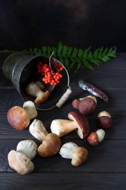 Cepe, Boletus edulis, taze ve doğal orman mantarları koyu kahverengi ahşap kırsal masa üzerinde, fotokopi alanı ile dikey..