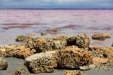 Sasyk Sivash Pembe Tuz Gölü kıyısındaki kaya ya da kireç taşı..