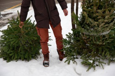 Eski Noel ağacı geri dönüşümü, Noel ve yeni yıl tatilinden sonra çöpte yeşil çam taşıyan bir adam..