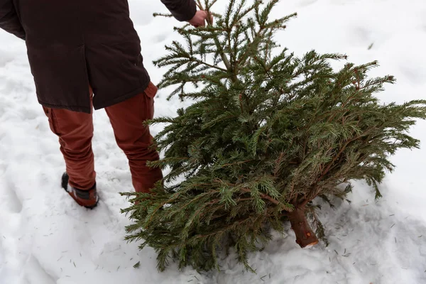 Eski Noel Ağacı Geri Dönüşümü Noel Yeni Yıl Tatilinden Sonra Telifsiz Stok Imajlar