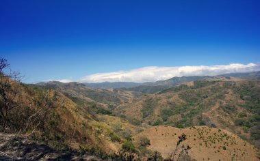 Monte verde