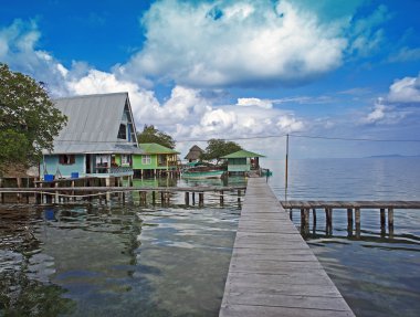 Karayip gösterimler