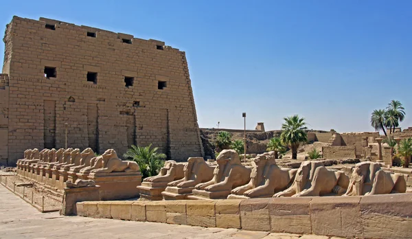 エジプトの文化 — ストック写真