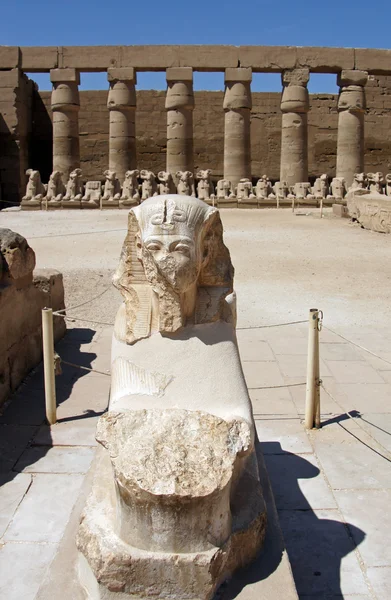 Egypte impressions, temple de karnak — Photo