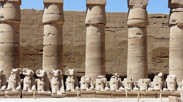 Egipto impresiones, templo de karnak —  Fotos de Stock