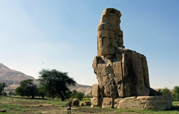 Memnon coloso, luxor — Foto de Stock