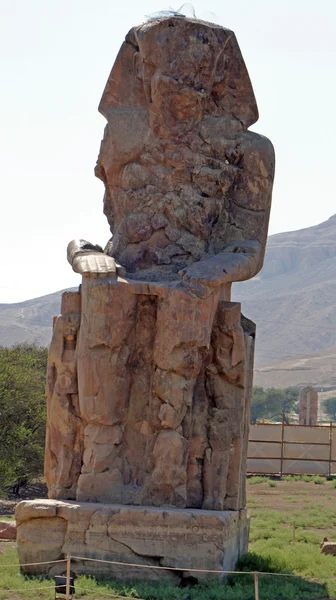 メムノンの巨像、ルクソール — ストック写真