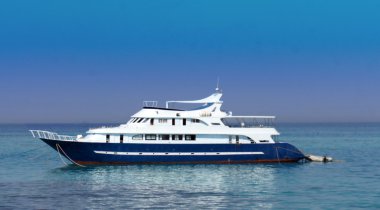 Kızıldeniz gösterimler