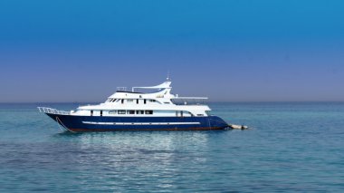 Kızıldeniz gösterimler