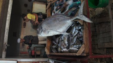 eski Hurghada'nın Bazaarı izlenimleri