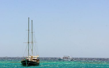 Mısır Gösterim, hurghada Haziran 2013