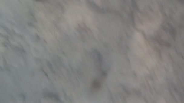 Plongée en apnée dans la mer Rouge